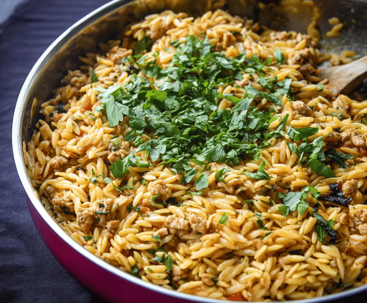 Easy and Delicious Ground Turkey Orzo Recipe